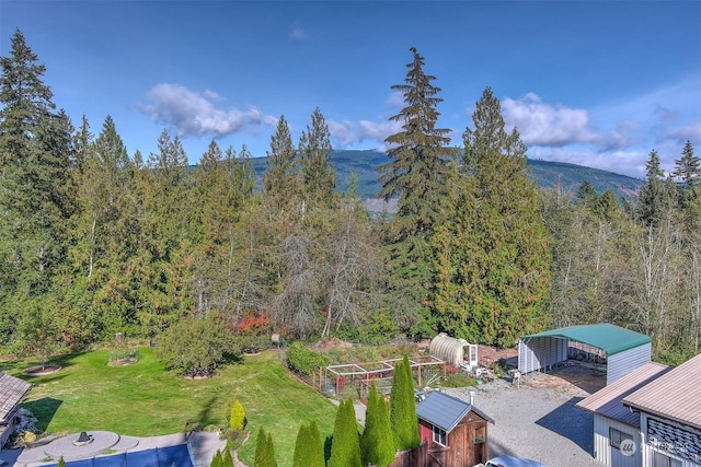 birds eye view of property featuring a mountain view and a view of trees