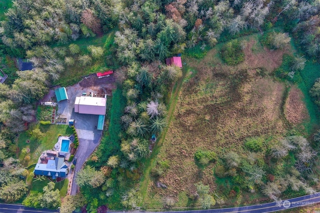 bird's eye view