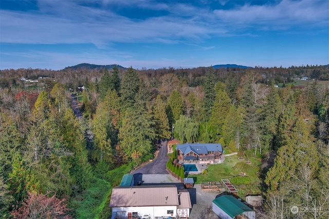 aerial view featuring a mountain view