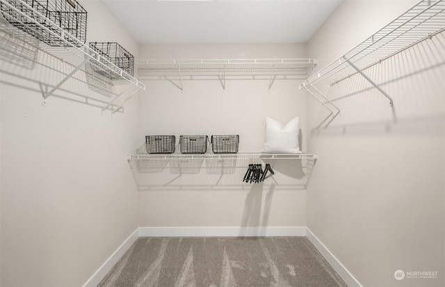9017 NE 203rd Ct Unit A, Bothell, WA 98011 - walk in closet featuring carpet flooring