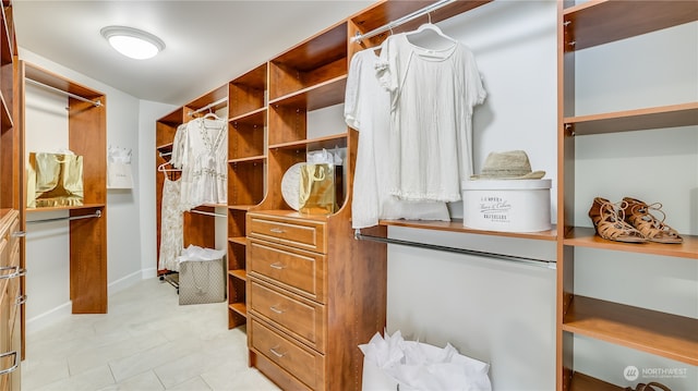 view of spacious closet