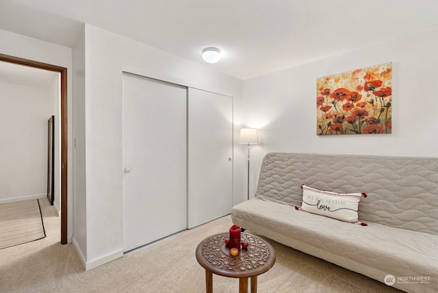 sitting room featuring carpet