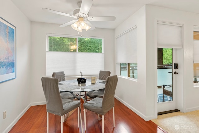 dining area featuring hardwood / wood-style floors and ceiling fan