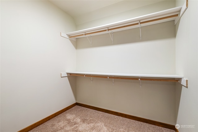 walk in closet with light colored carpet