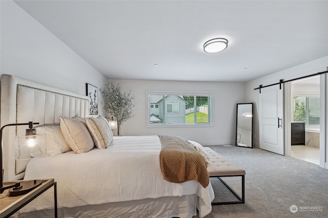 bedroom featuring ensuite bath, carpet, multiple windows, and a barn door