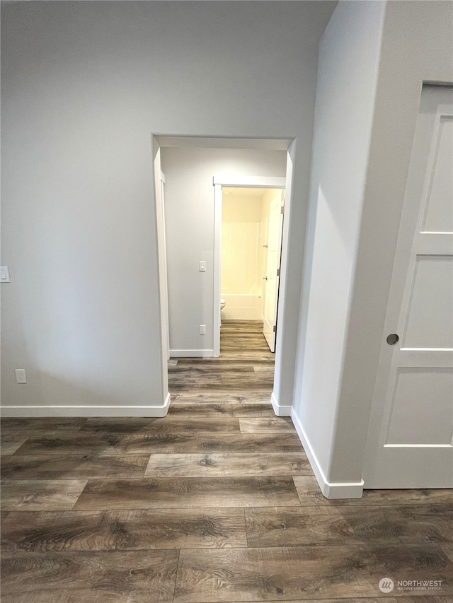 hallway featuring dark wood-type flooring