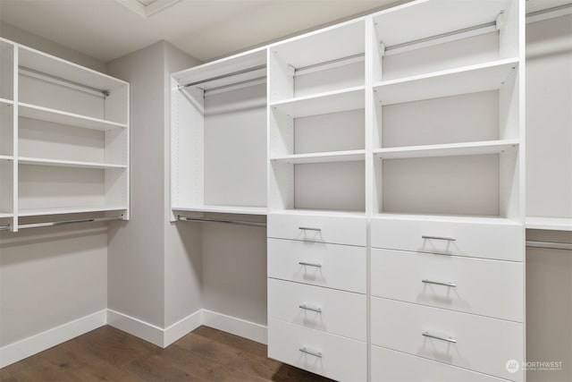 walk in closet with dark wood-type flooring