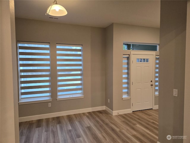 foyer featuring a wealth of natural light and wood-type flooring