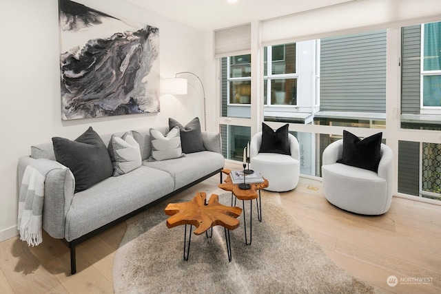 living room with hardwood / wood-style floors