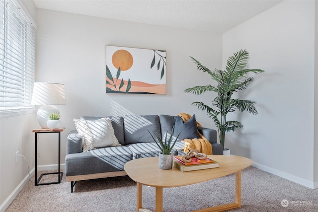 living room featuring carpet flooring and a textured ceiling