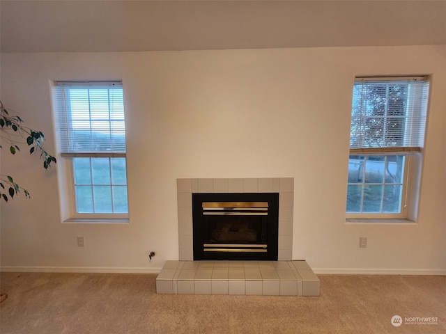 room details with a fireplace and carpet floors