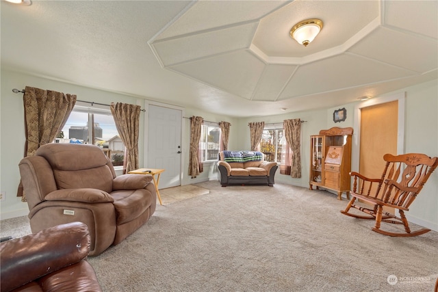 carpeted living room with a raised ceiling