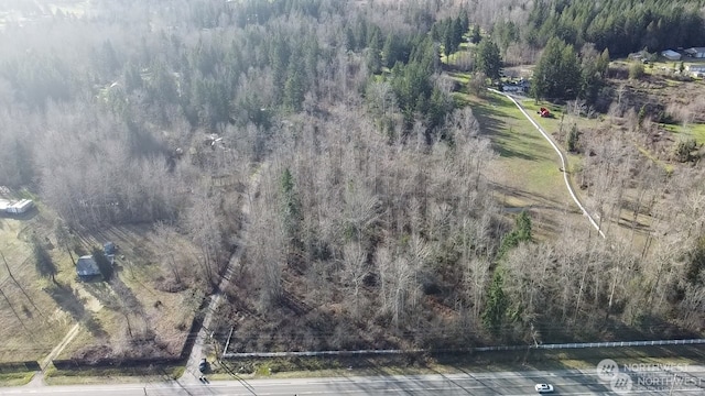 31510 Mountain Hwy E, Eatonville WA, 98328 land for sale