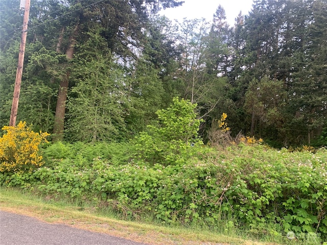 0 Lylus Ln, Port Hadlock WA, 98339 land for sale