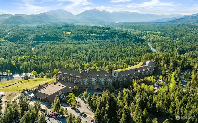 birds eye view of property with a mountain view