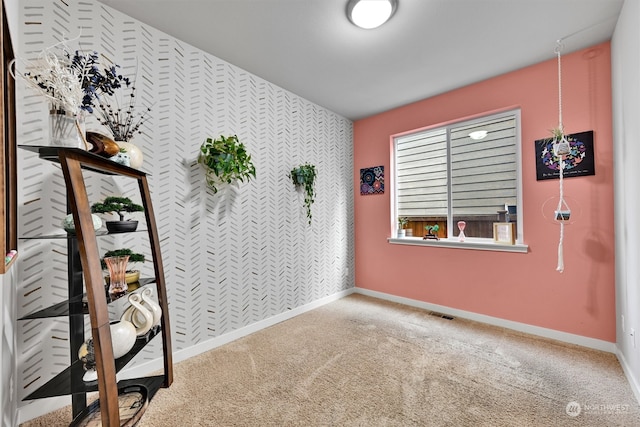 empty room featuring carpet floors