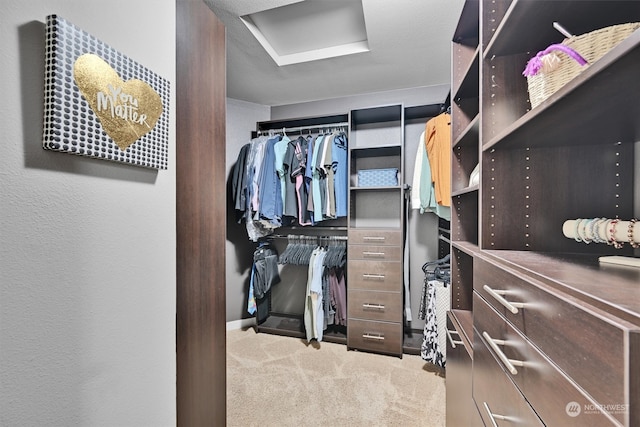 spacious closet featuring light carpet