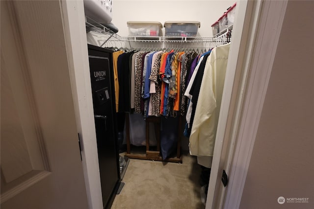 walk in closet with carpet