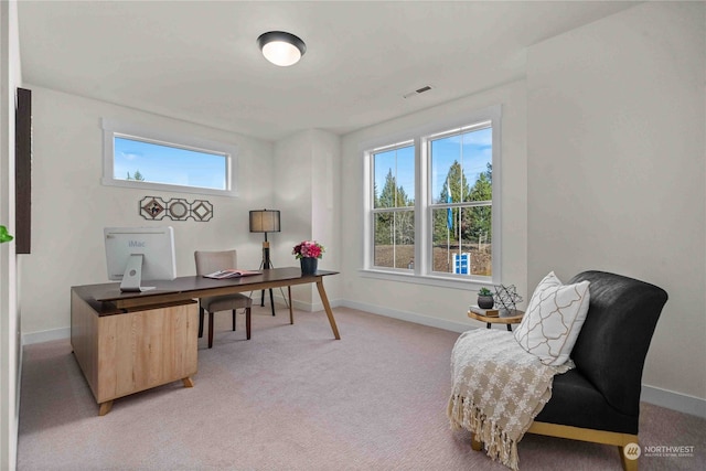 view of carpeted home office