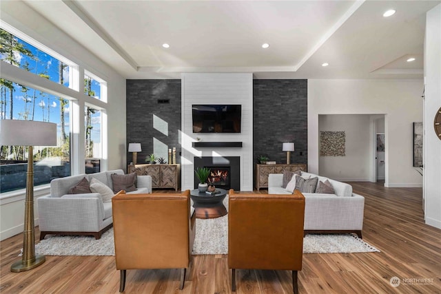 living room with a fireplace, hardwood / wood-style flooring, and a raised ceiling