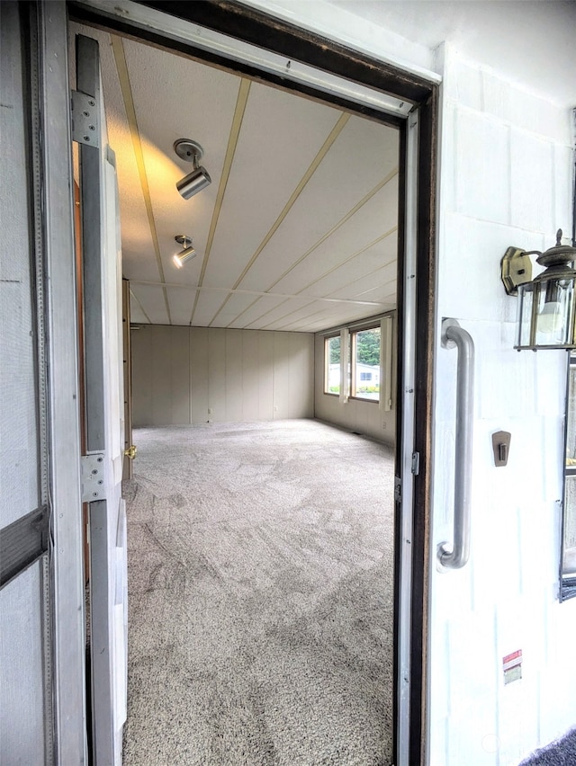 bonus room featuring carpet flooring