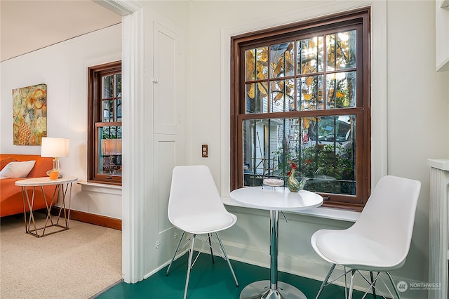 carpeted dining room featuring plenty of natural light