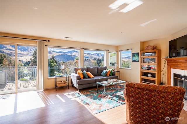 living room featuring a fireplace and light hardwood / wood-style floors