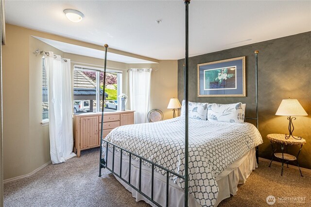 808 W Manson Rd Unit B204, Chelan, WA 98816 - bedroom featuring carpet floors and baseboards