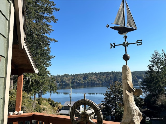 view of water feature