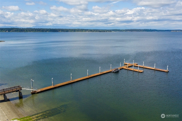 view of dock with a water view