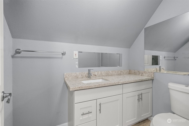 bathroom featuring vanity, toilet, and lofted ceiling