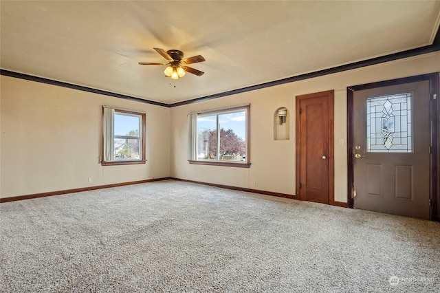 carpeted entryway featuring crown molding and ceiling fan