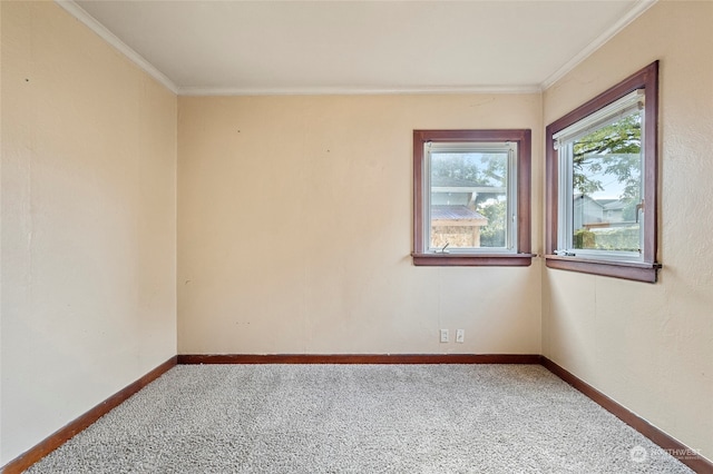 carpeted empty room featuring crown molding