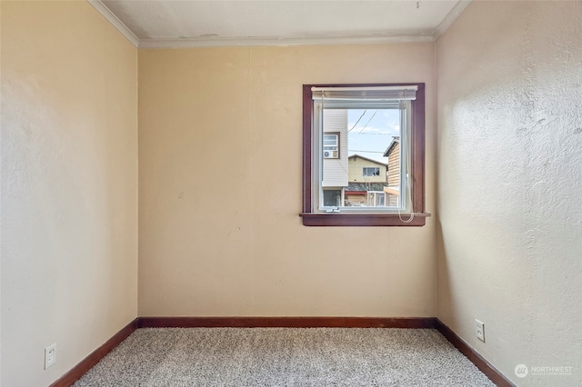 carpeted spare room featuring ornamental molding