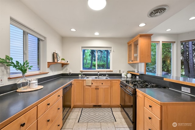 kitchen with sink, black appliances, and a healthy amount of sunlight