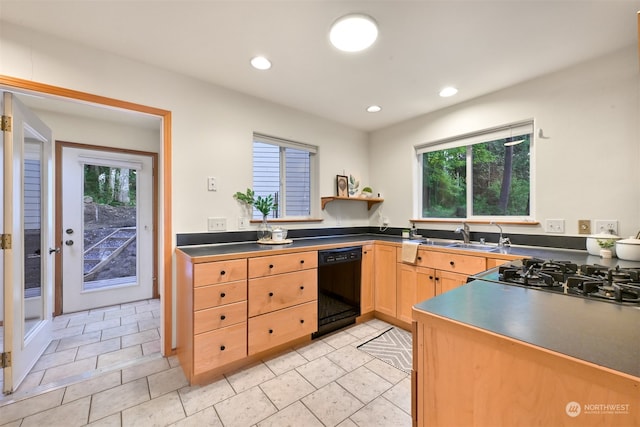 kitchen with sink, stainless steel gas cooktop, a healthy amount of sunlight, and dishwasher