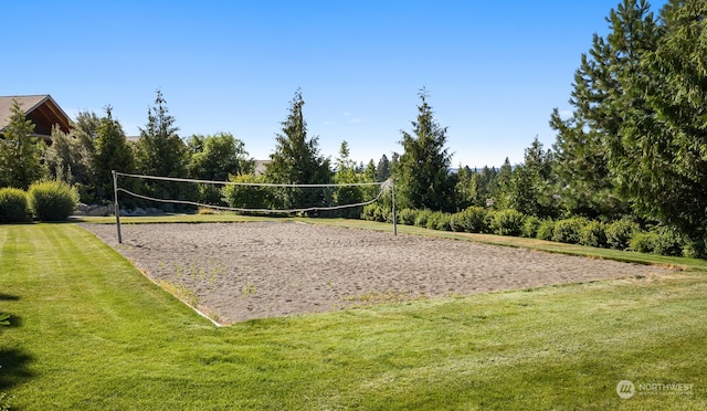 view of community featuring volleyball court and a yard