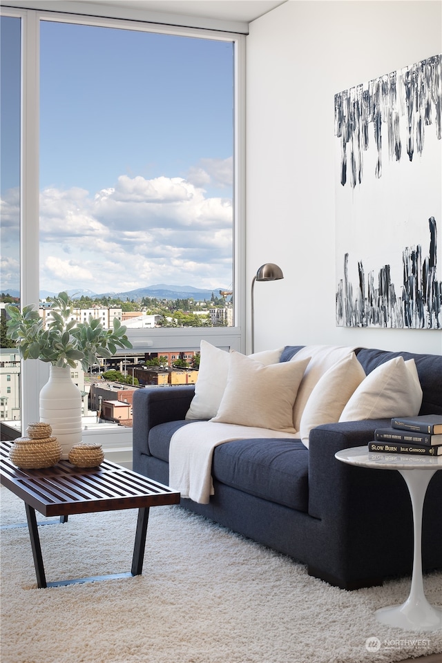 living room with expansive windows and plenty of natural light