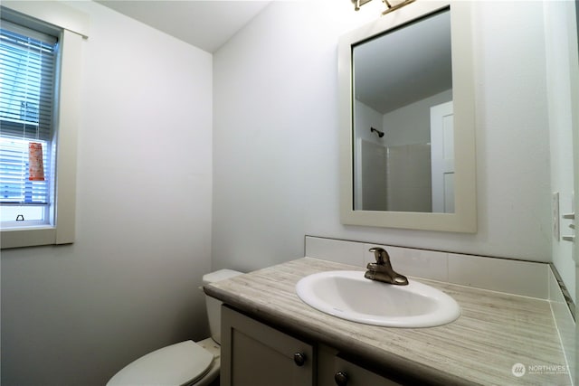 bathroom with toilet and vanity