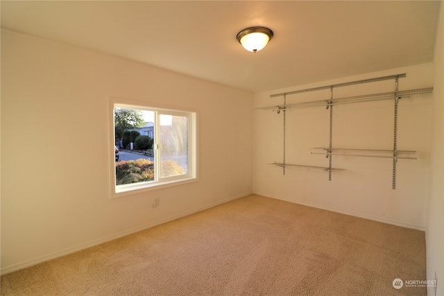 unfurnished room with carpet floors