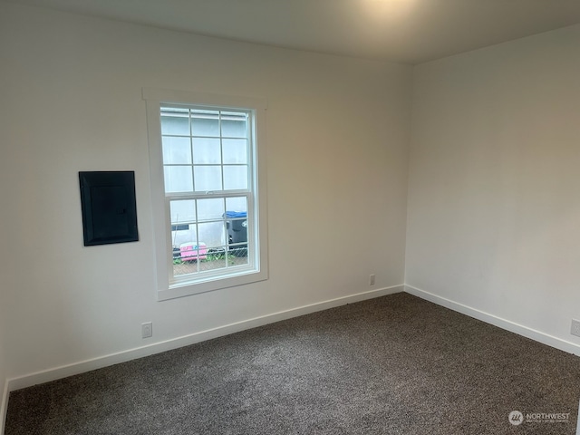 carpeted spare room with electric panel