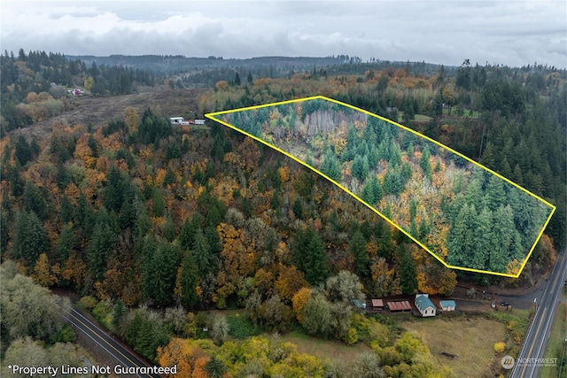 3007 Stella Rd, Longview, WA 98632 - photo 21