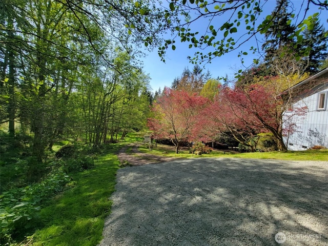 1547 Bismark Ln, Freeland, WA 98249 - view of road