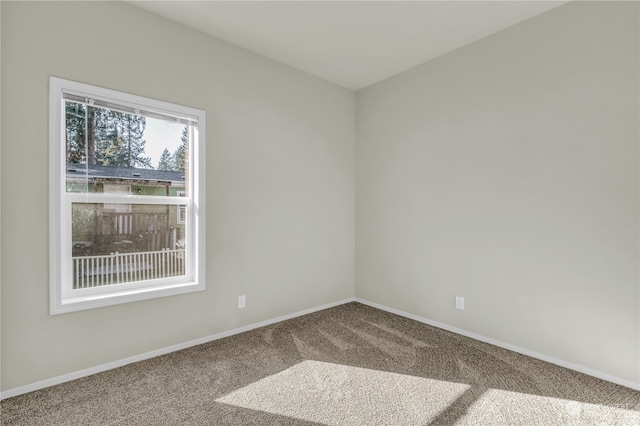 unfurnished room featuring carpet