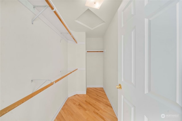 spacious closet with hardwood / wood-style floors