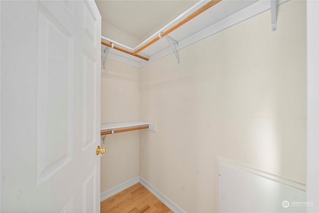 walk in closet with light hardwood / wood-style flooring