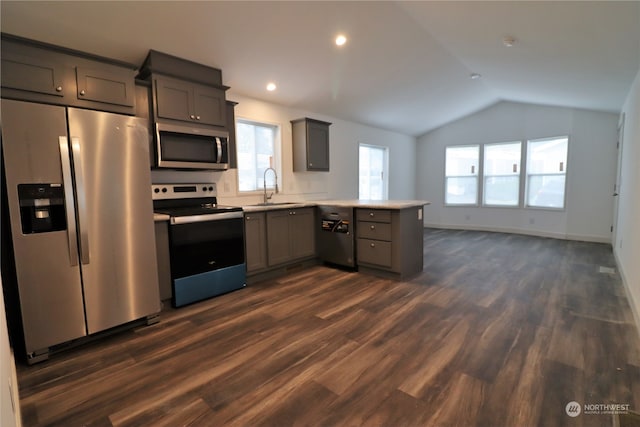 kitchen featuring sink, vaulted ceiling, appliances with stainless steel finishes, and dark wood-type flooring