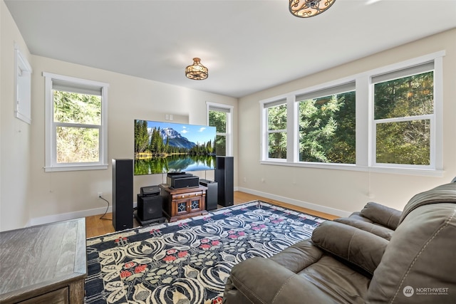 living room featuring hardwood / wood-style floors and plenty of natural light