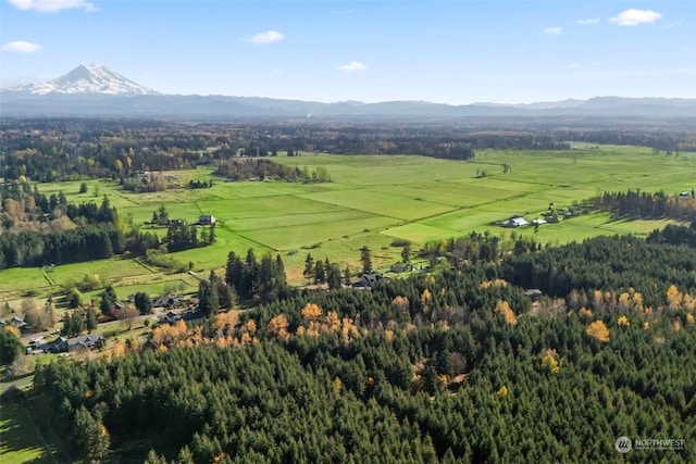 bird's eye view with a mountain view and a rural view