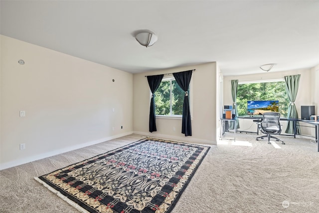 living room featuring plenty of natural light and carpet floors